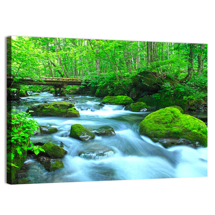 Mossy Forest Stream Wall Art as a canvas print