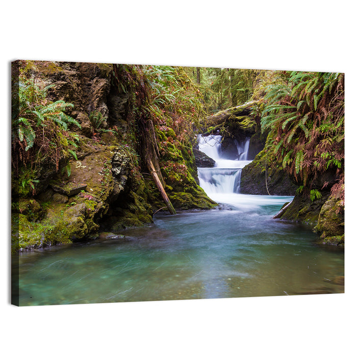 Willaby Creek Waterfall Wall Art as a canvas print