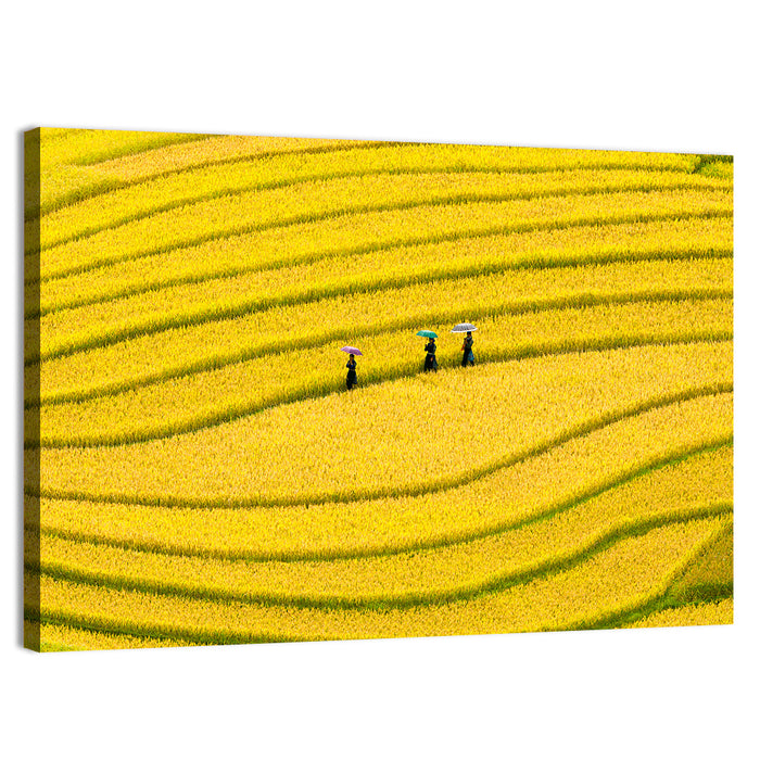 Golden Rice Terraces with Umbrellas Wall Art as a canvas print