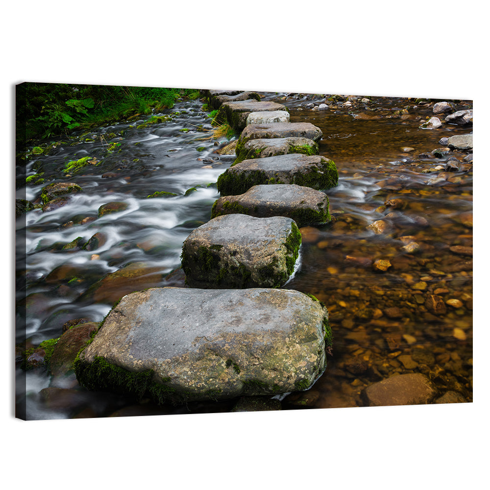Mossy Stepping Stones Over Stream Wall Art, canvas print, landscape