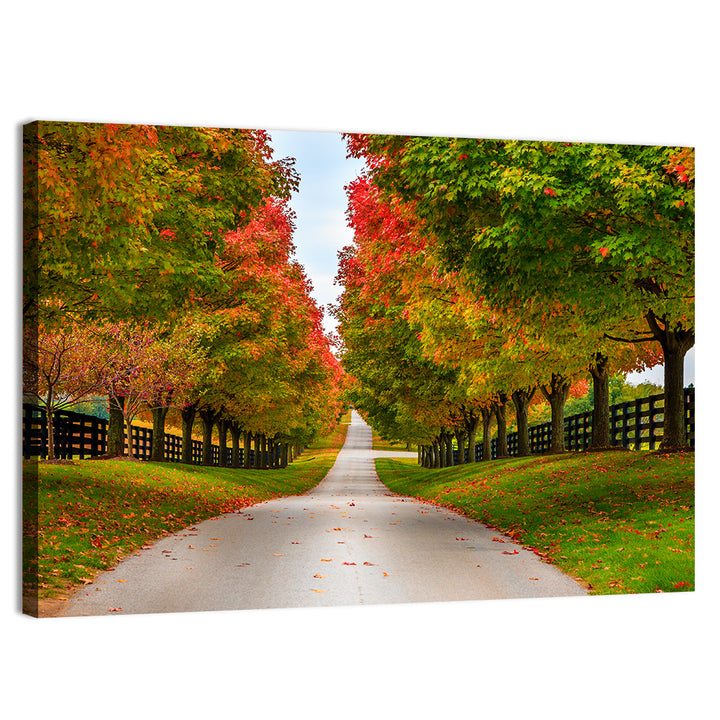 Tree-lined Farm Lane, Kentucky Wall Art