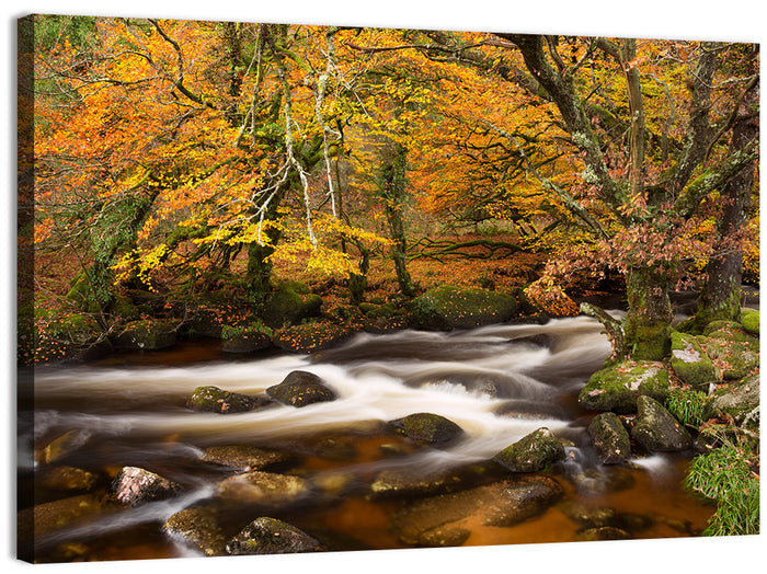 Dartmoor Autumn River in Golden Forest Wall Art as a canvas print