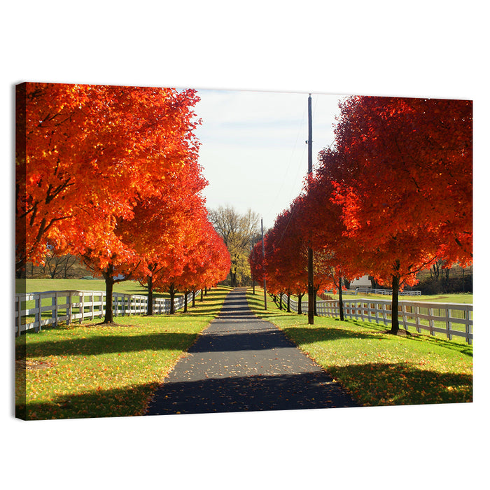 Frederick Farm Road Wall Art as a canvas print