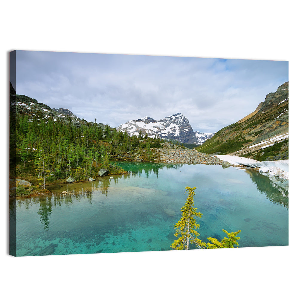 Lefroy Lake Wall Art, canvas print, landscape