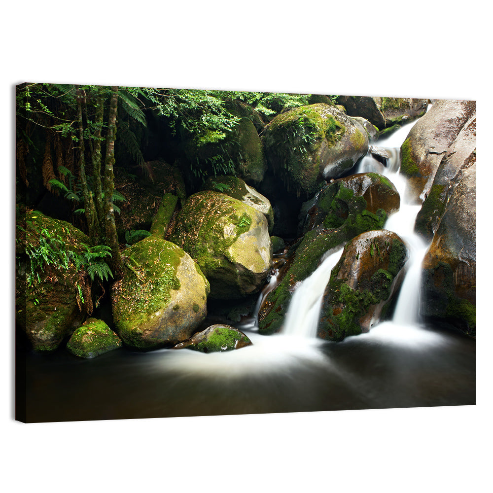 Rainforest Waterfall with Moss Covered Boulders Wall Art, canvas print, landscape