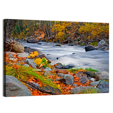 Golden Autumn Forest Creek Wall Art