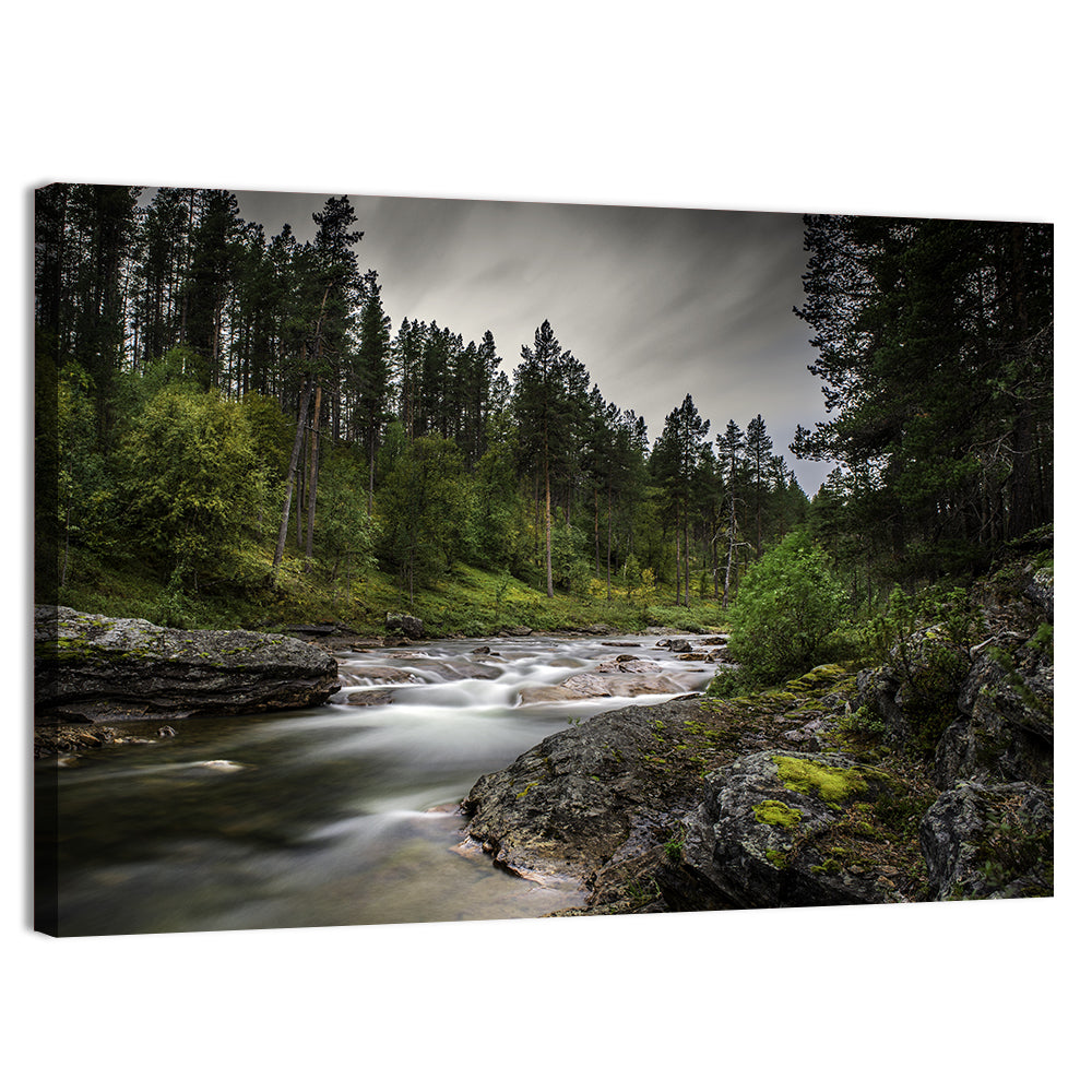 Mossy Forest Stream Wall Art, canvas print, landscape