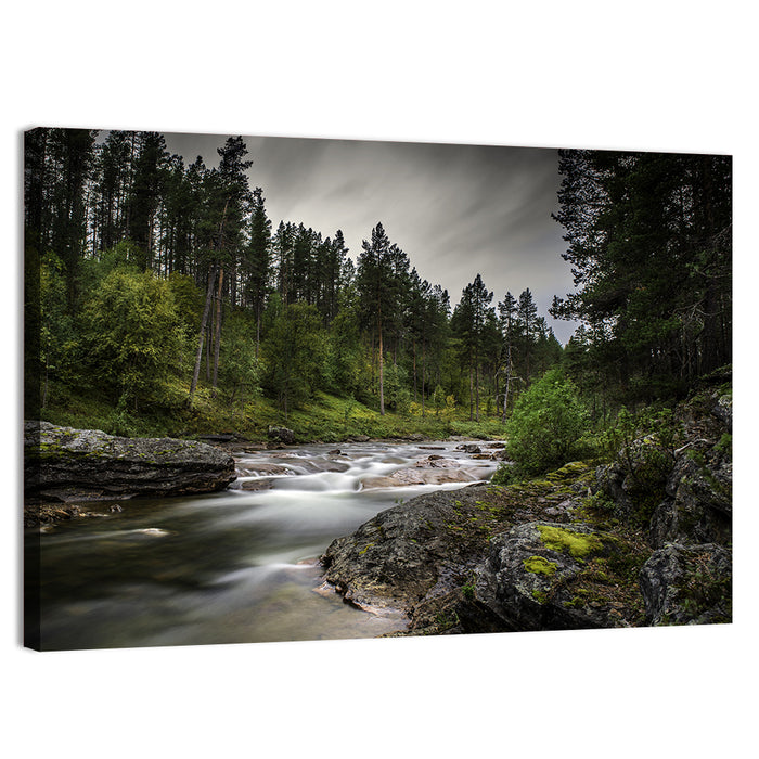 Mossy Forest Stream Wall Art as a canvas print