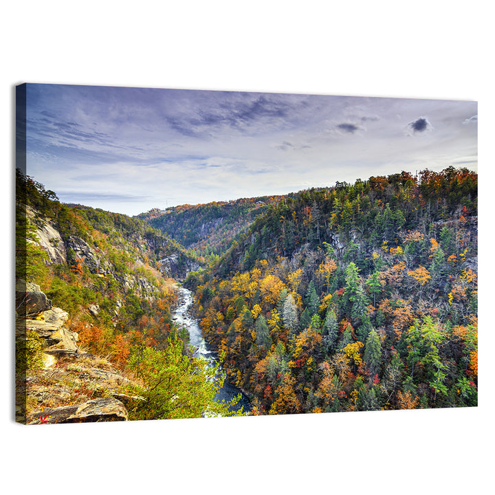 Tallulah Gorge Autumn Vista Wall Art
