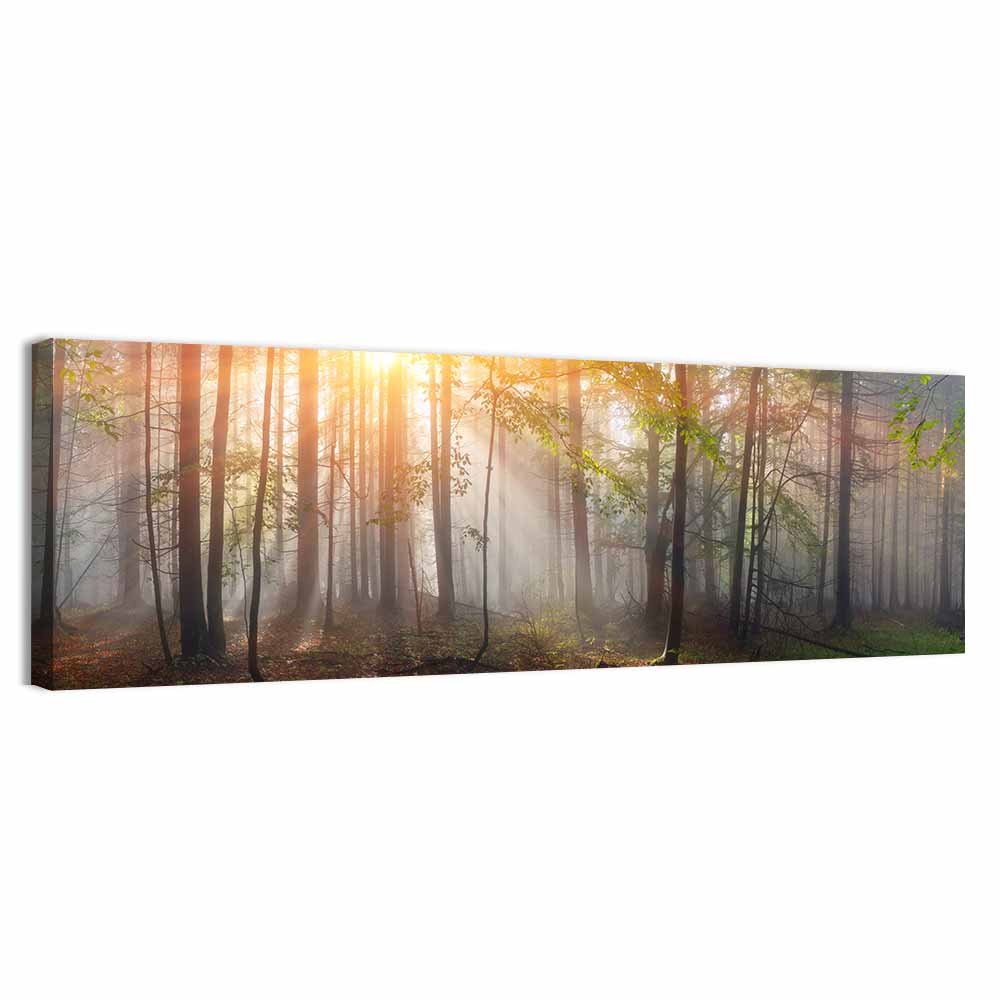 Carpathian Morning Forest Wall Art, canvas print, panoramic