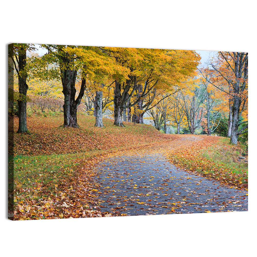 Autumn Road with Golden Canopy Wall Art, canvas print, landscape
