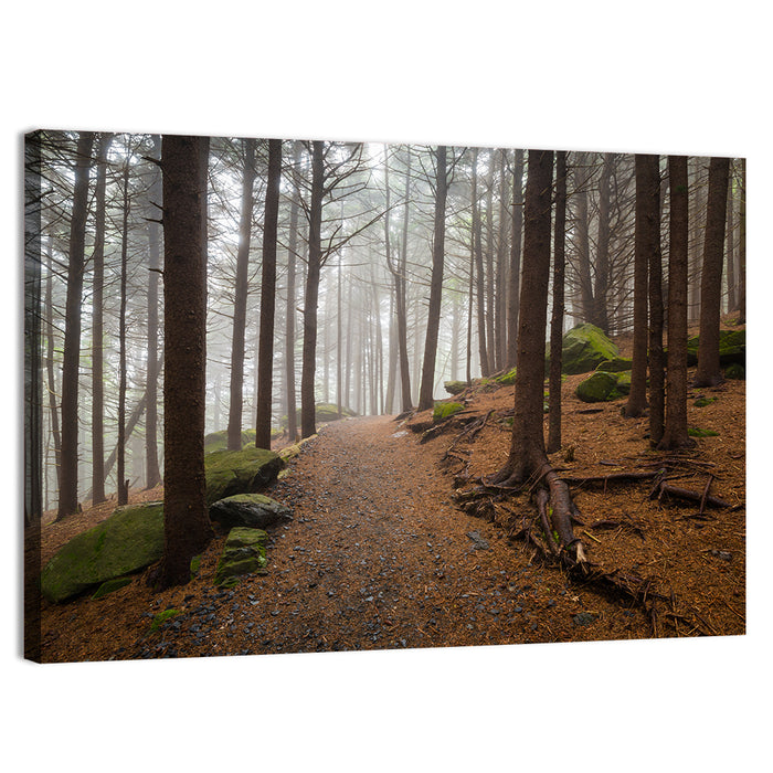 Misty Appalachian Trail Path Wall Art as a canvas print