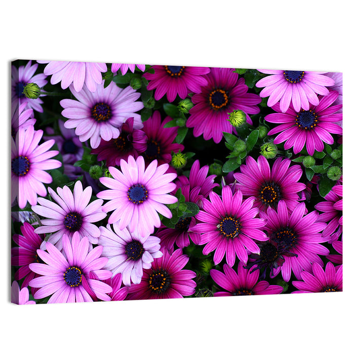 Pink and Purple Daisies Wall Art as a canvas print