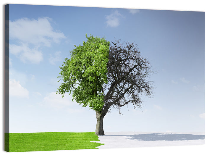 Split Seasons Tree Wall Art as a canvas print