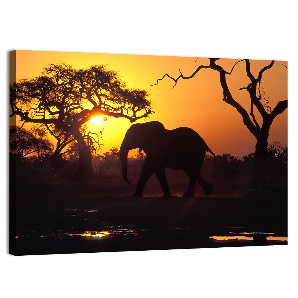 Elephant at Sunset Wall Art, canvas print, landscape