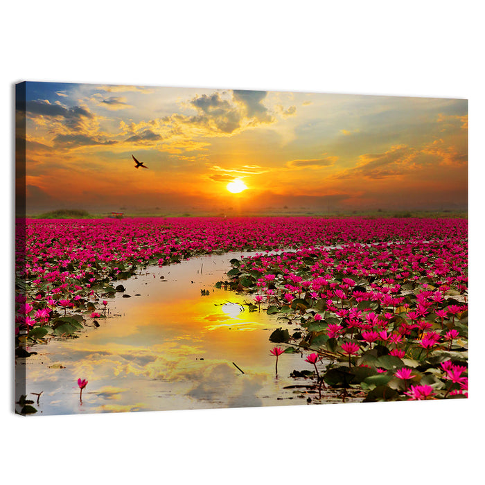 Golden Hour Lotus Field Wall Art as a canvas print