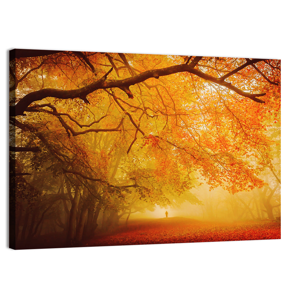 Autumn Forest Path with Lone Figure Wall Art, canvas print, landscape