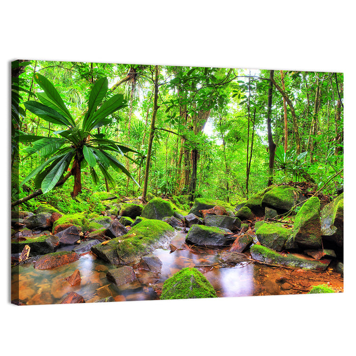 Mossy Rainforest Stream Wall Art as a canvas print