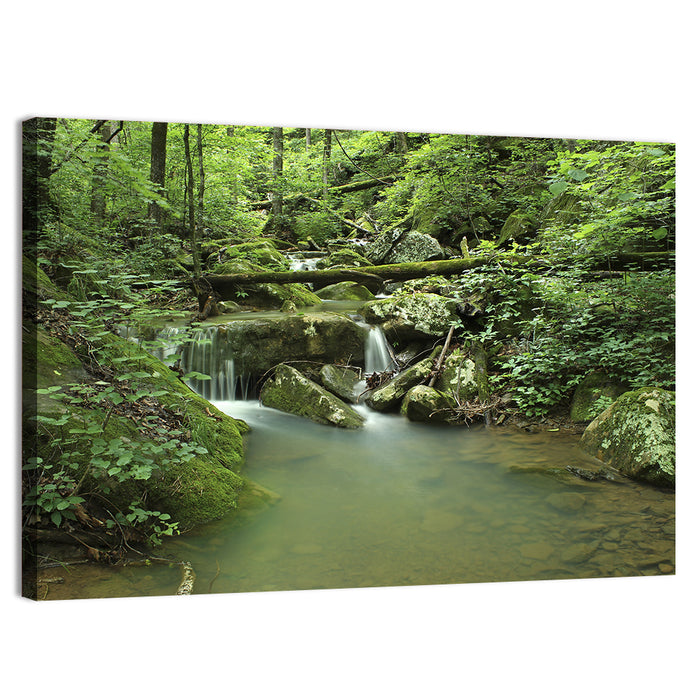 Arkansas Forest Stream Wall Art as a canvas print