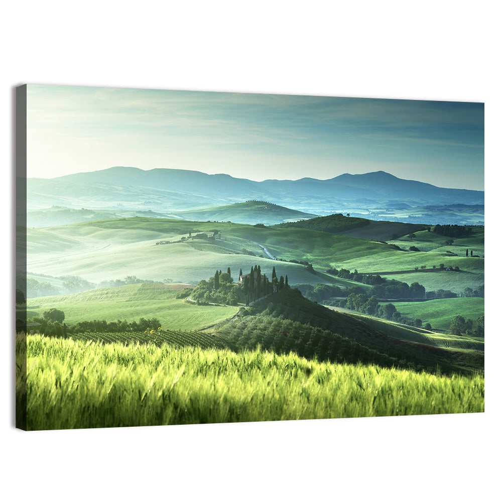 Misty Rolling Hills with Cypresses Wall Art, canvas print, landscape