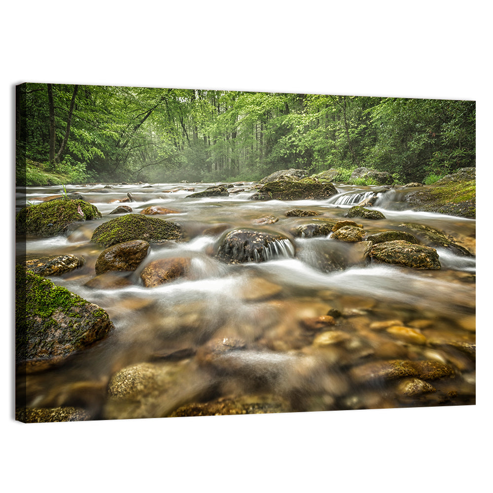 Forest Creek, North Carolina Wall Art, canvas print, landscape