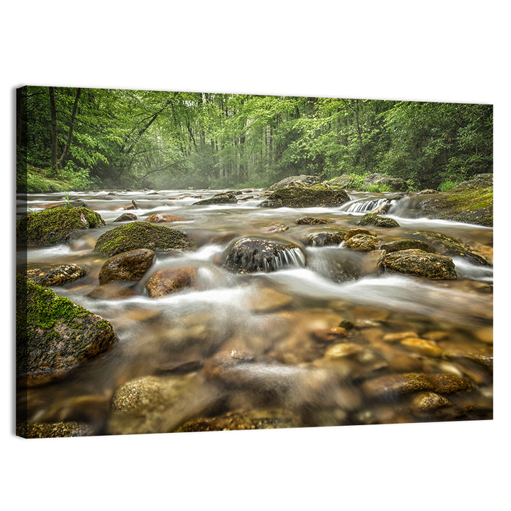 Forest Creek, North Carolina Wall Art