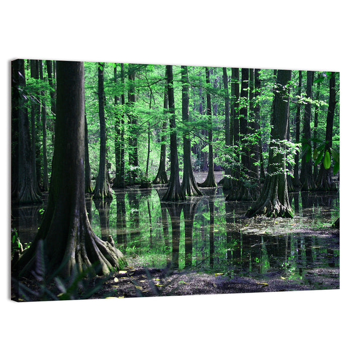 Congaree Swamp Reflection Wall Art as a canvas print