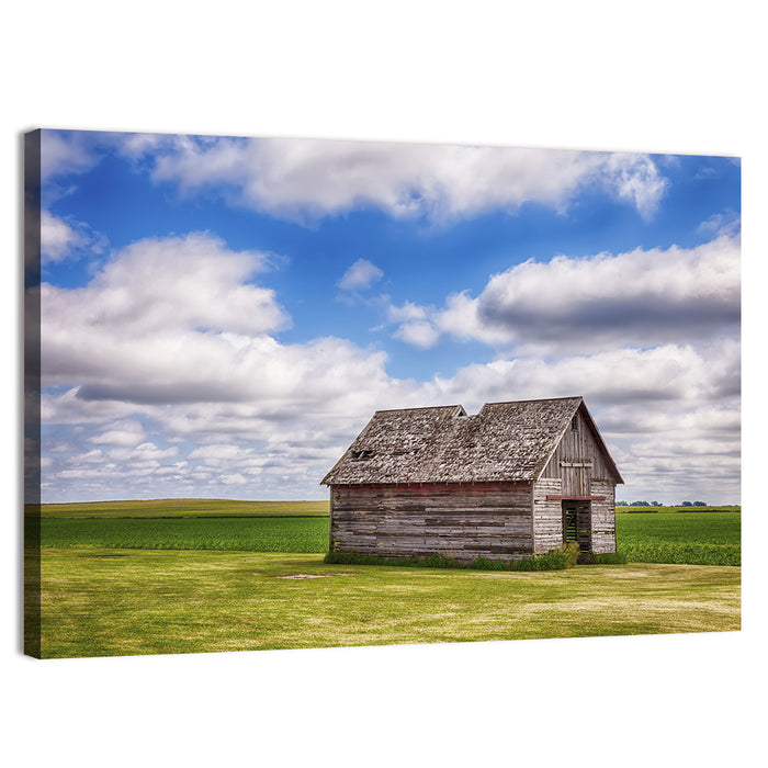 Old Farm Shed in Field Wall Art as a canvas print