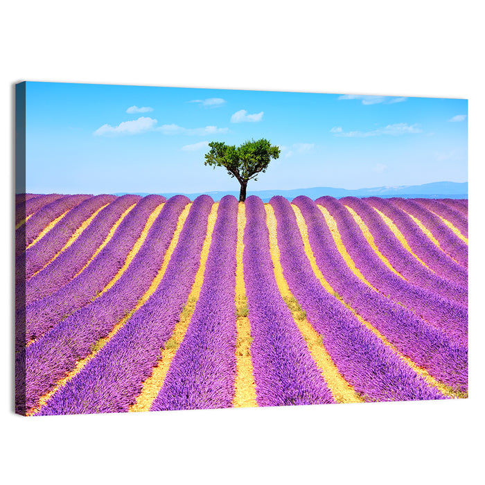 Lavender Field Wall Art as a canvas print
