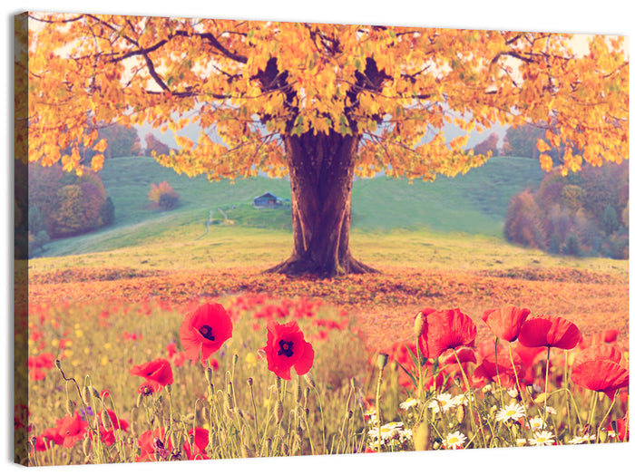 Autumn Tree and Poppy Field Wall Art as a canvas print