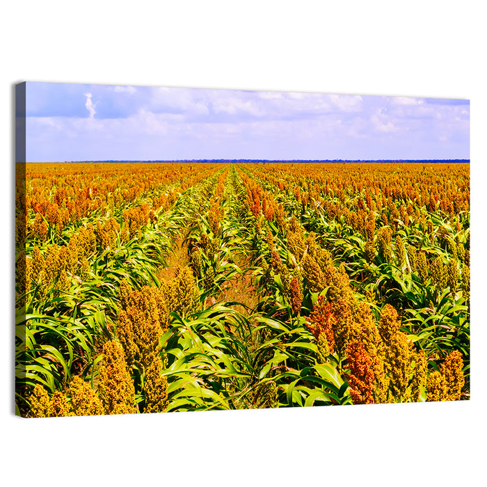 Sorghum Field Wall Art as a canvas print