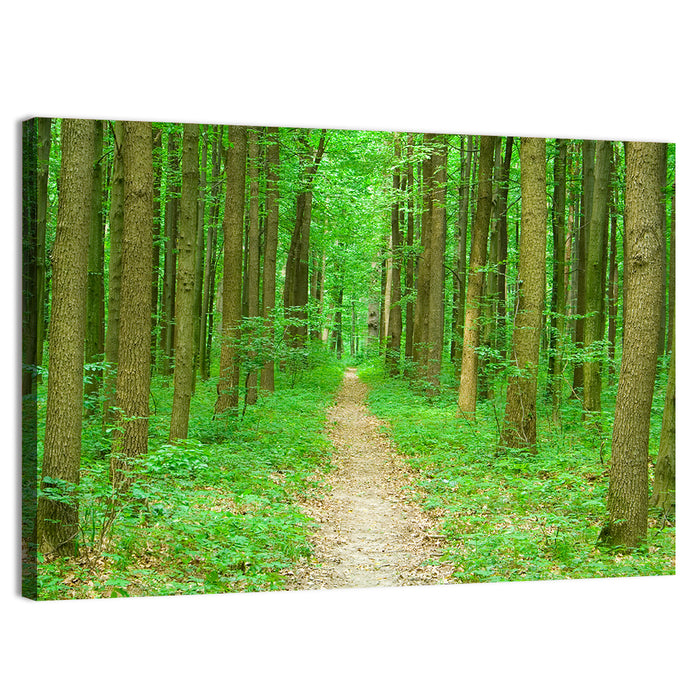 Green Forest Pathway Wall Art as a canvas print