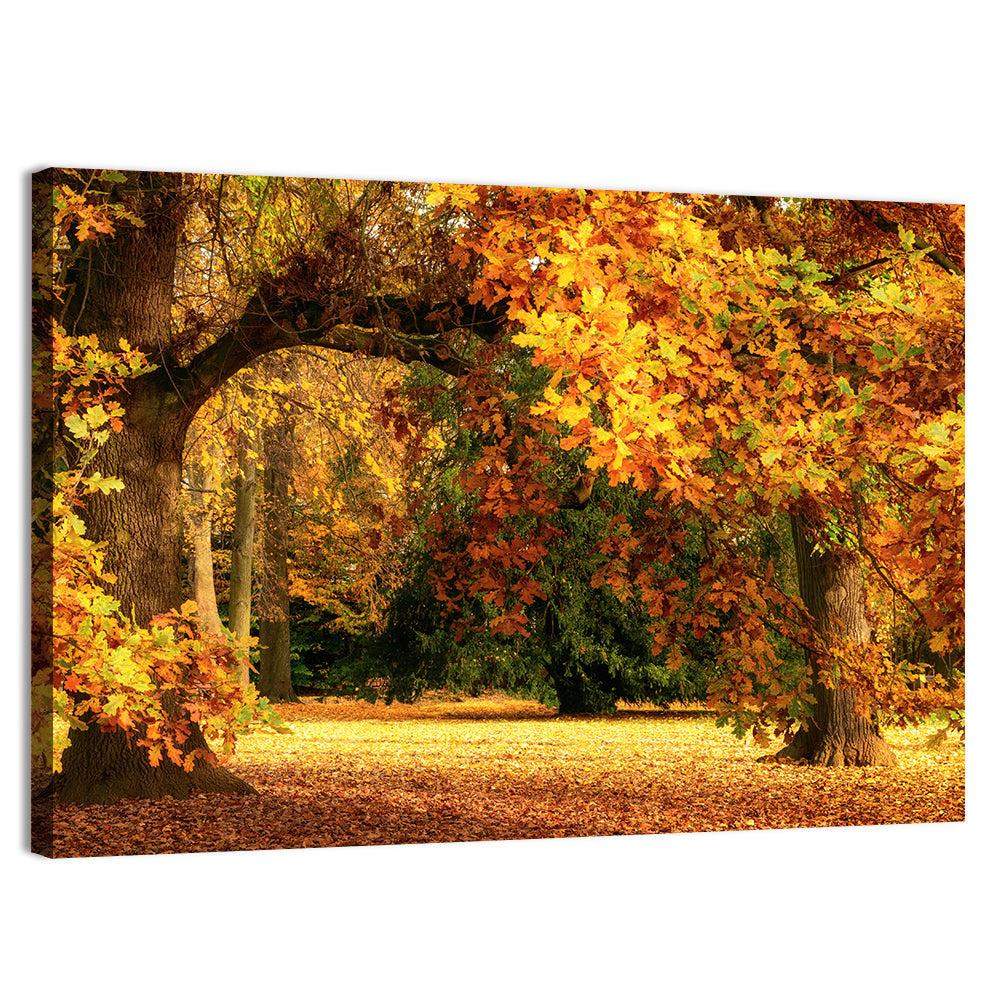 Autumn Park Oaks Wall Art, canvas print, landscape