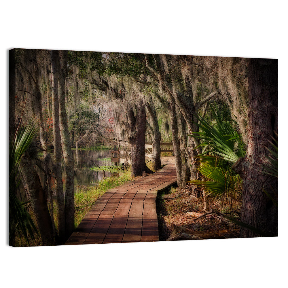 Louisiana Swamp Boardwalk Wall Art, canvas print, landscape