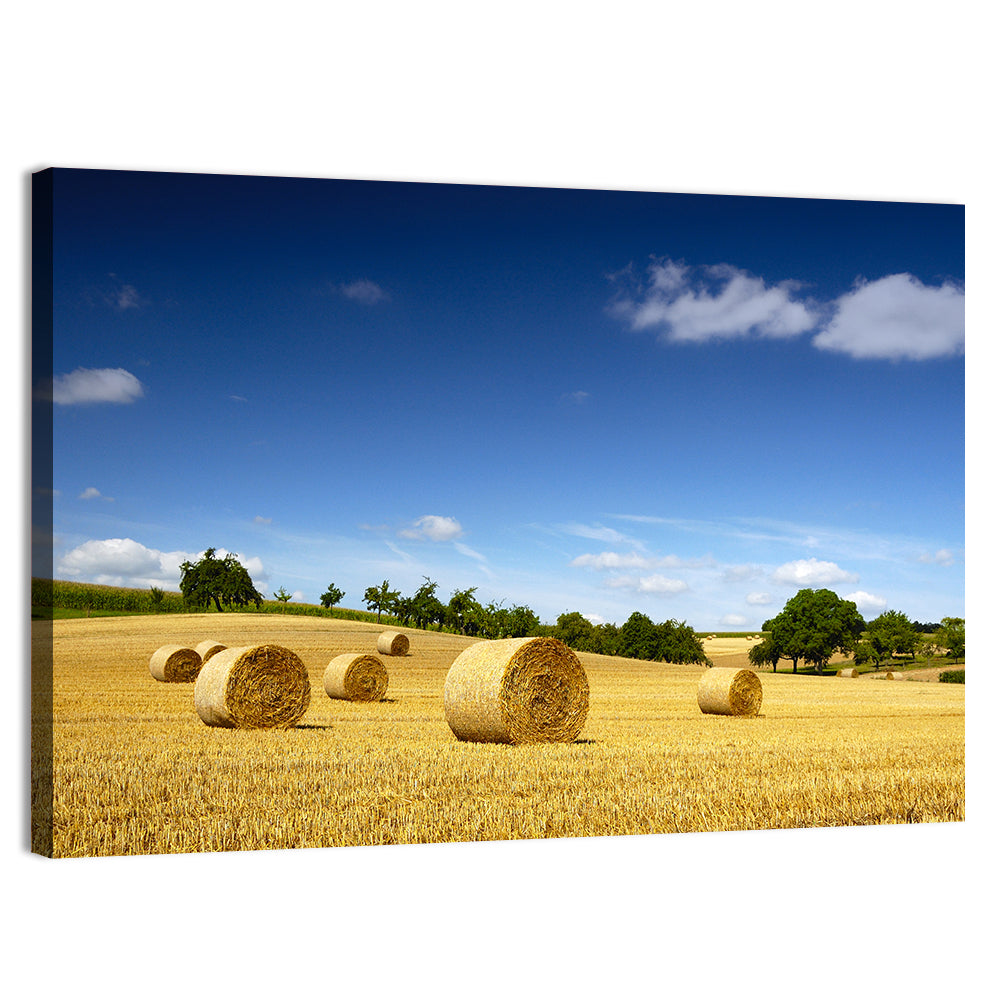 Late Summer Straw Bales Wall Art, canvas print, landscape
