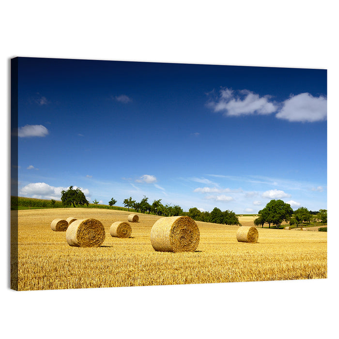 Late Summer Straw Bales Wall Art as a canvas print