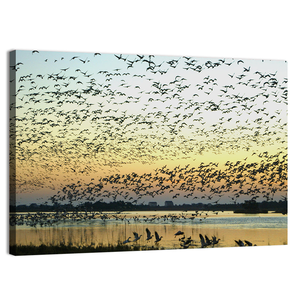 Snow Geese Over River Wall Art, canvas print, landscape