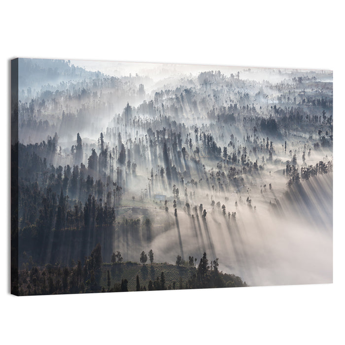 Misty Forest Sunrise Wall Art as a canvas print