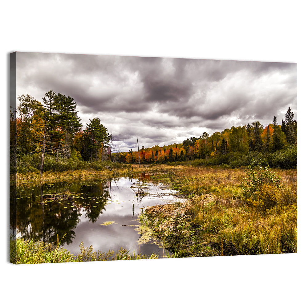 Michigan Autumn Marsh Wall Art, canvas print, landscape