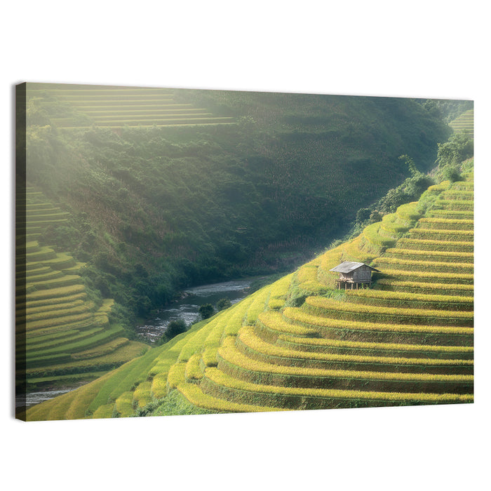 Golden Rice Terraces Wall Art as a canvas print