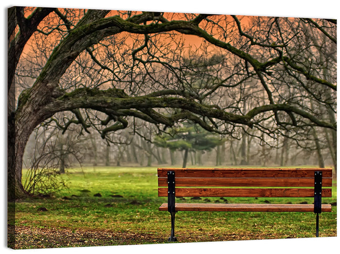 Misty Autumn Park Bench Wall Art as a canvas print