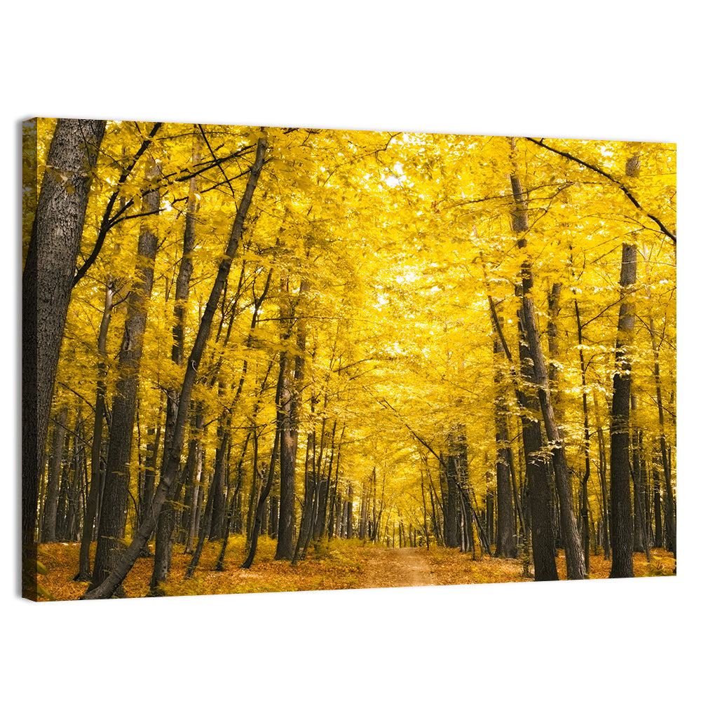 Yellow Autumn Forest Path Wall Art, canvas print, landscape