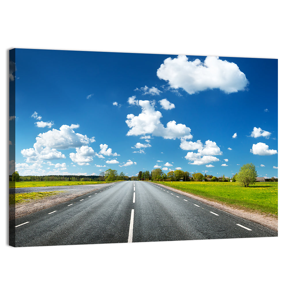 Asphalt Road Through Meadow Wall Art, canvas print, landscape