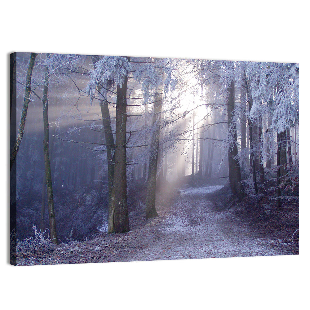 Frosted Forest Path at Dawn Wall Art, canvas print, landscape