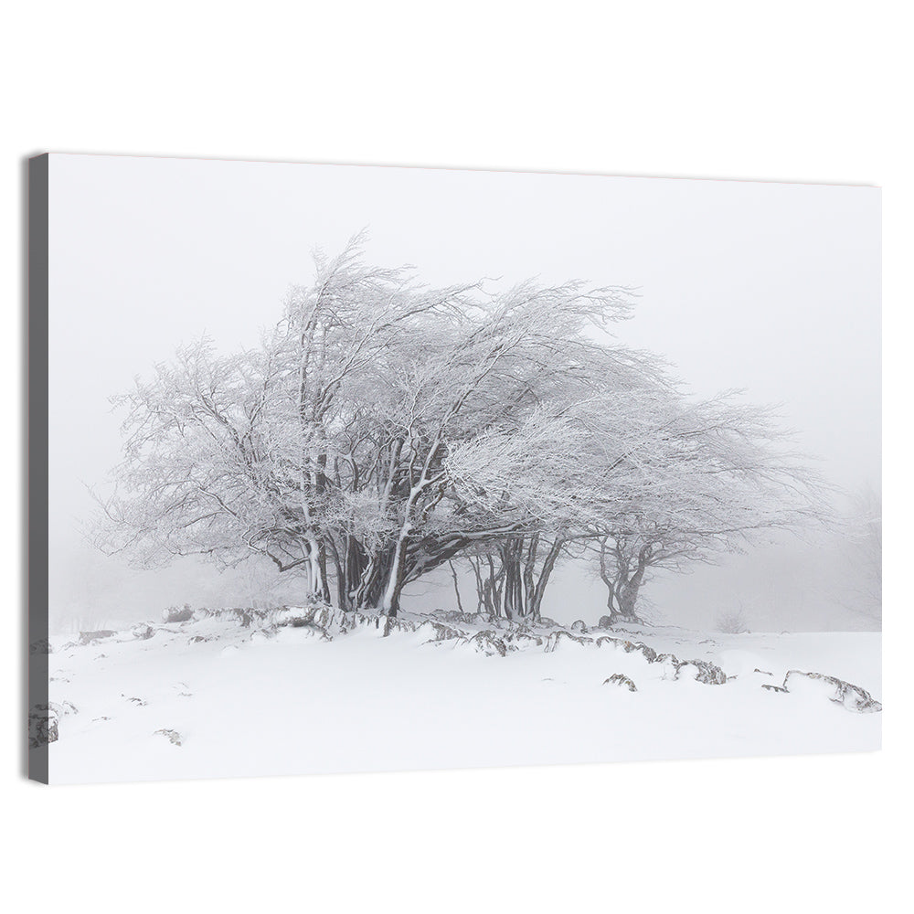 Rime Coated Winter Trees Wall Art, canvas print, landscape