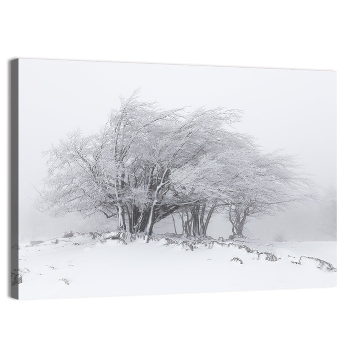 Rime Coated Winter Trees Wall Art as a canvas print