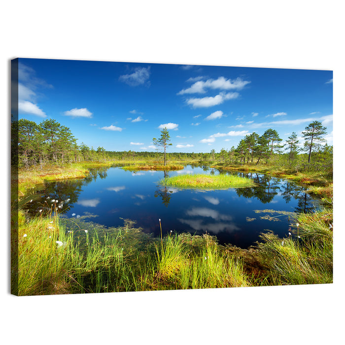 Viru Bogs Reflections Wall Art as a canvas print