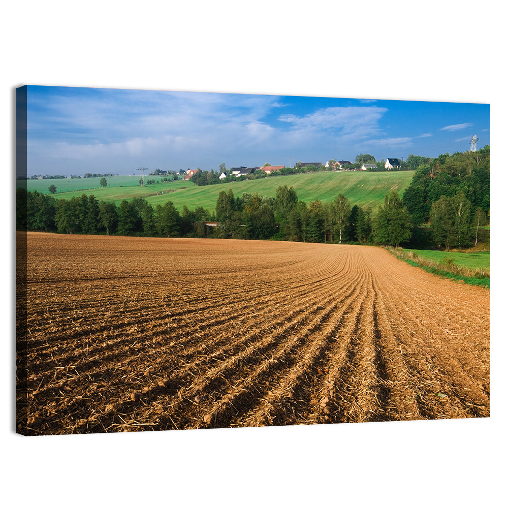 Kansas Wheat Fields Wall Art, canvas print, landscape