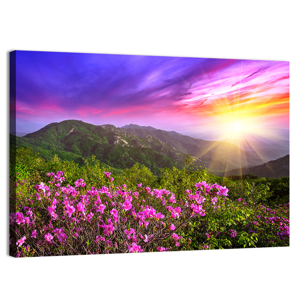 Hwangmaesan Mountain Sunset Wall Art, canvas print, landscape