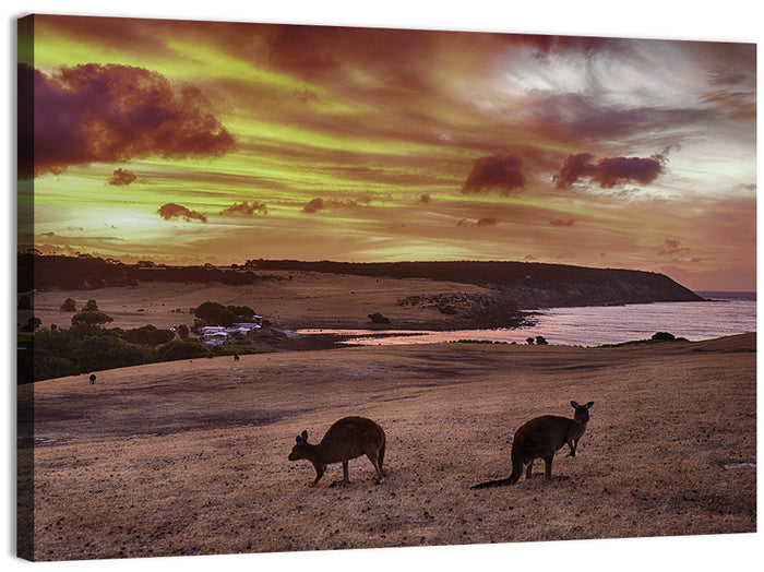 Two Kangaroos at Sunset Coast Wall Art as a canvas print
